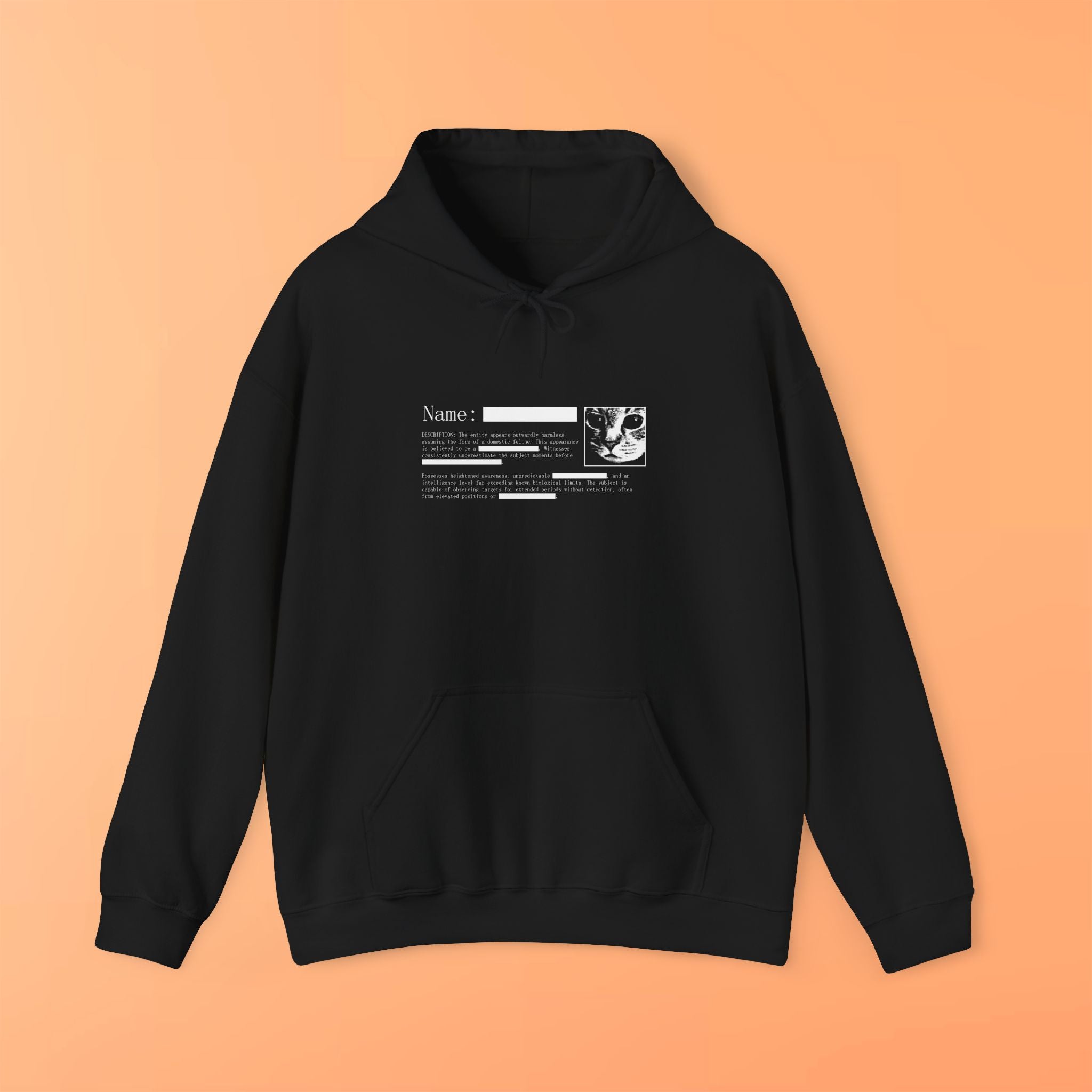 Redacted Cat Hoodie